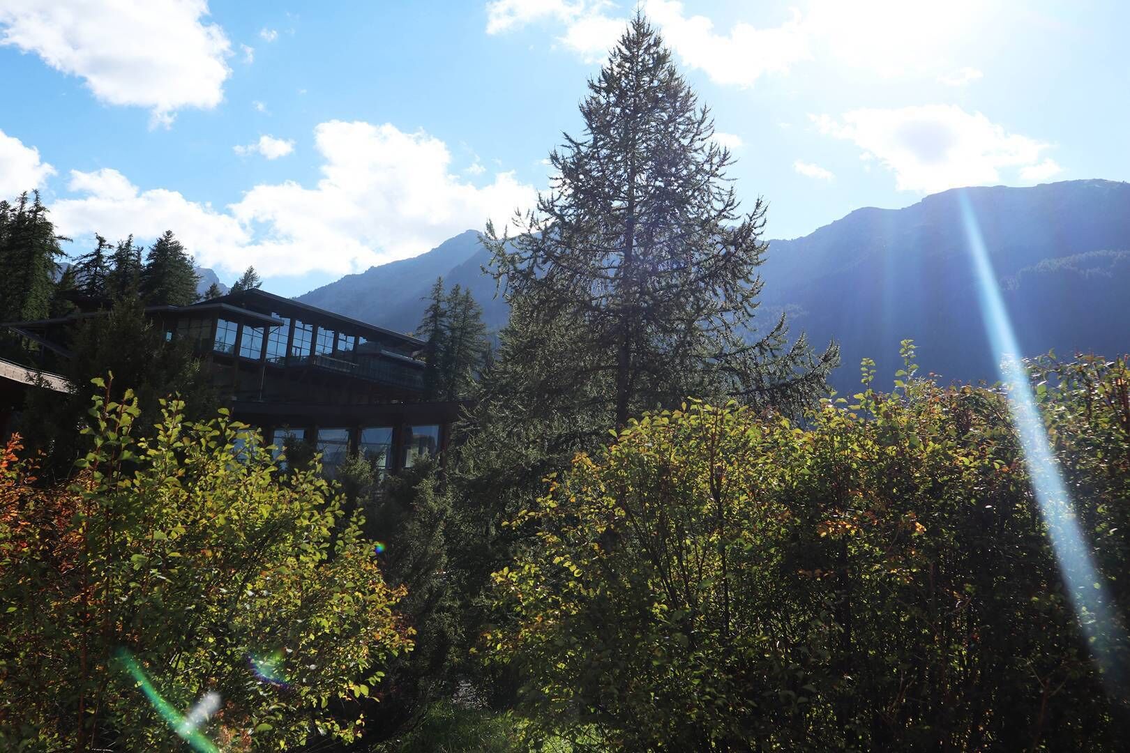 A mountain lodge with a modern design, surrounded by dense forest and mountains in the background.