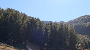 Paesaggio montuoso boscoso con cielo sereno.