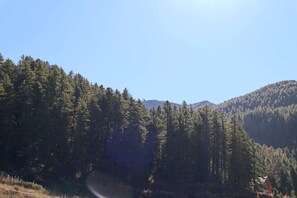 A forested mountain landscape with a clear sky.