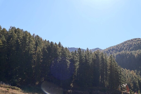 A forested mountain landscape with a clear sky.