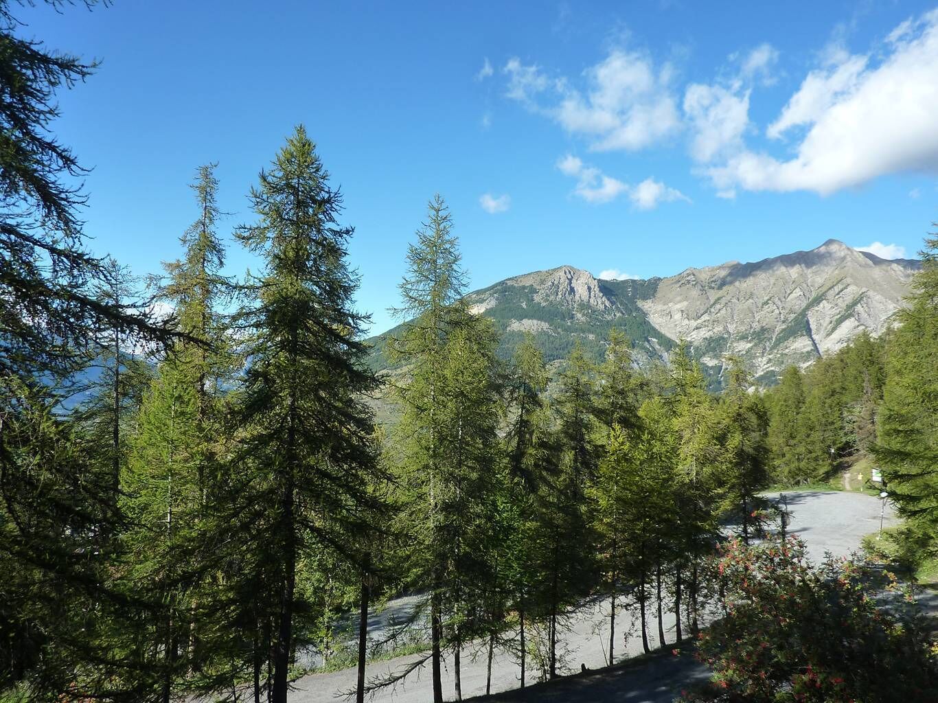 Un paysage montagneux, avec une végétation dense de conifères et un ciel dégagé.