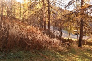 Ein bewaldetes Gebiet mit hohem Gras und Bäumen, ein Feldweg und ein Gebäude in der Ferne.