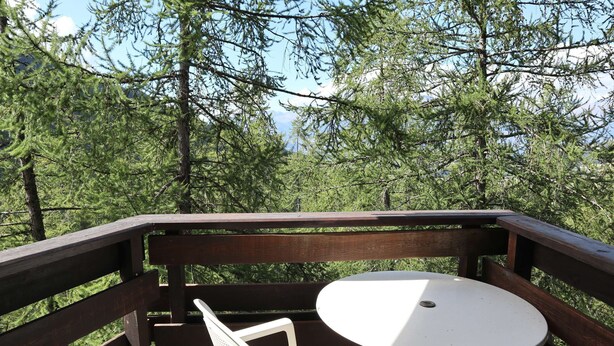 A wooden deck with a white table and chair, surrounded by dense green trees.