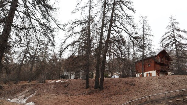 A rustic cabin with a wooden exterior, surrounded by tall trees and a dirt path leading to it. - Studio N° 211 LES Flocons (LES ORRES 1650)