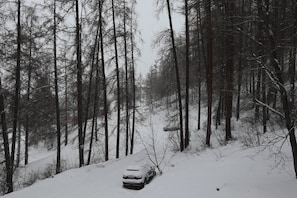 Snow and ski sports - LES Orres 1650 Appartement 4 Personnes (LES ORRES 1650)