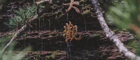 외부 세부 사진