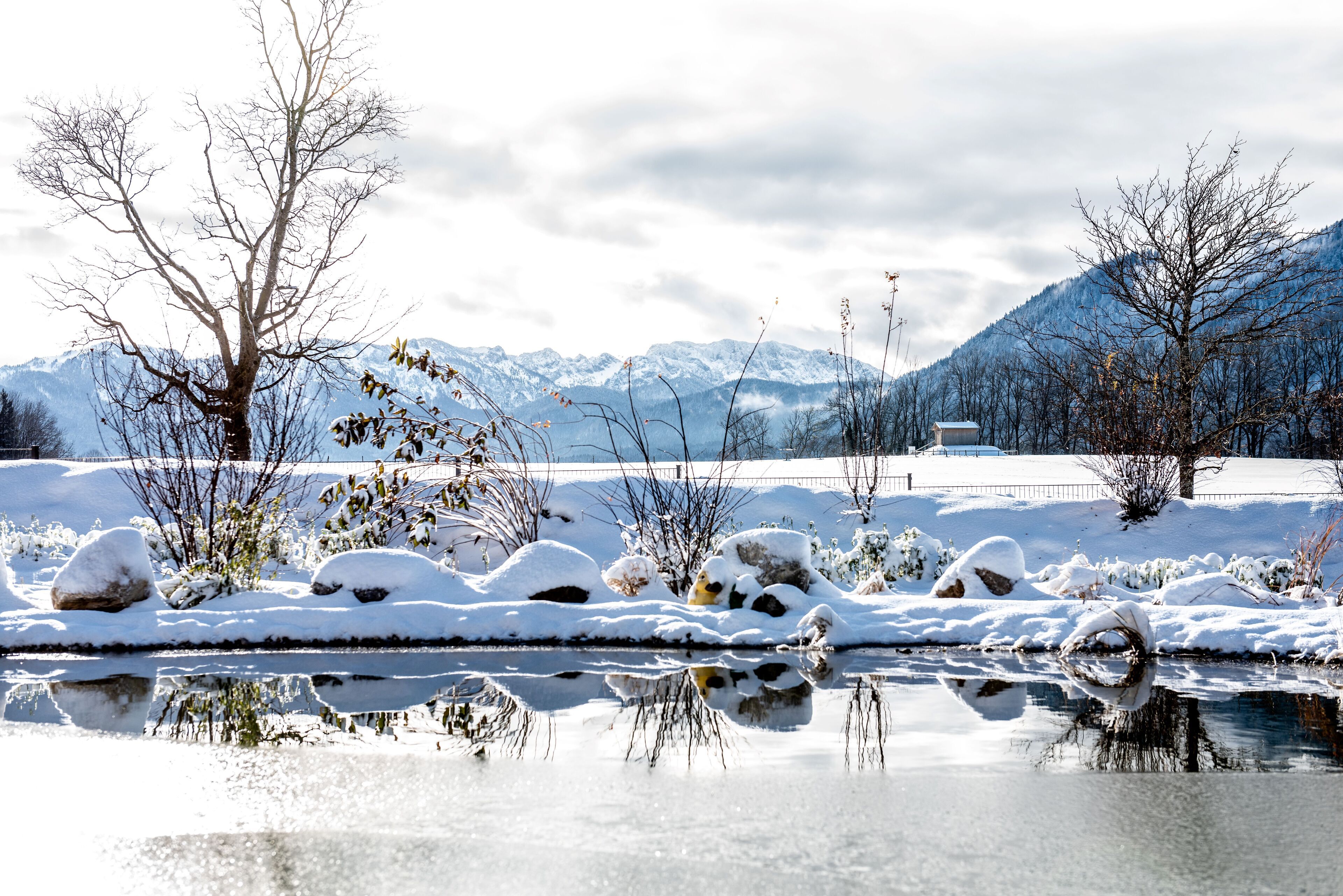 A winter landscape with a snow-covered river, bare trees, and mountains in the background.