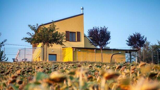 Een modern huis met twee verdiepingen, een schuin dak, een omheind gazon en een boom op de voorgrond.
