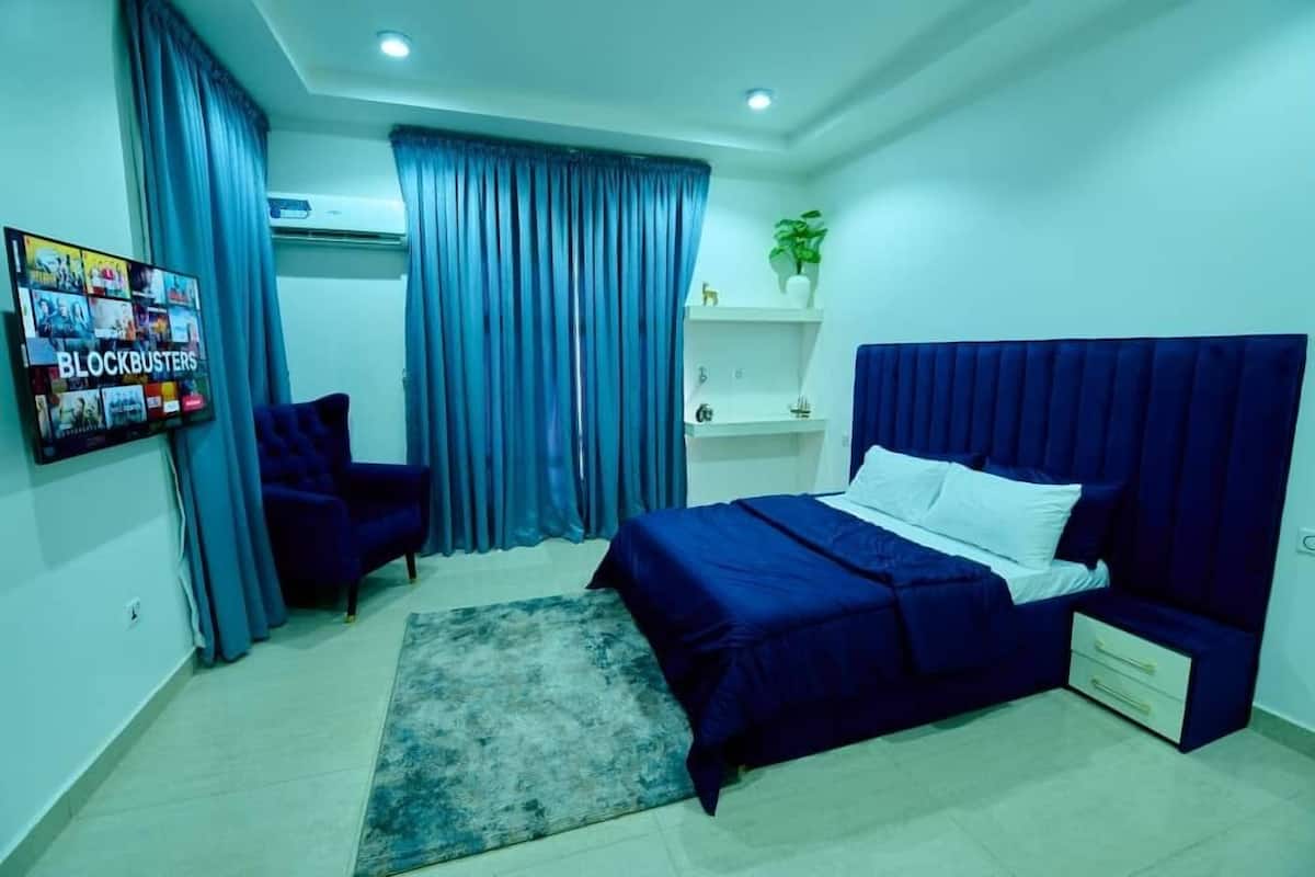 A bedroom with a bed, a chair, a TV, and a shelf with a plant.