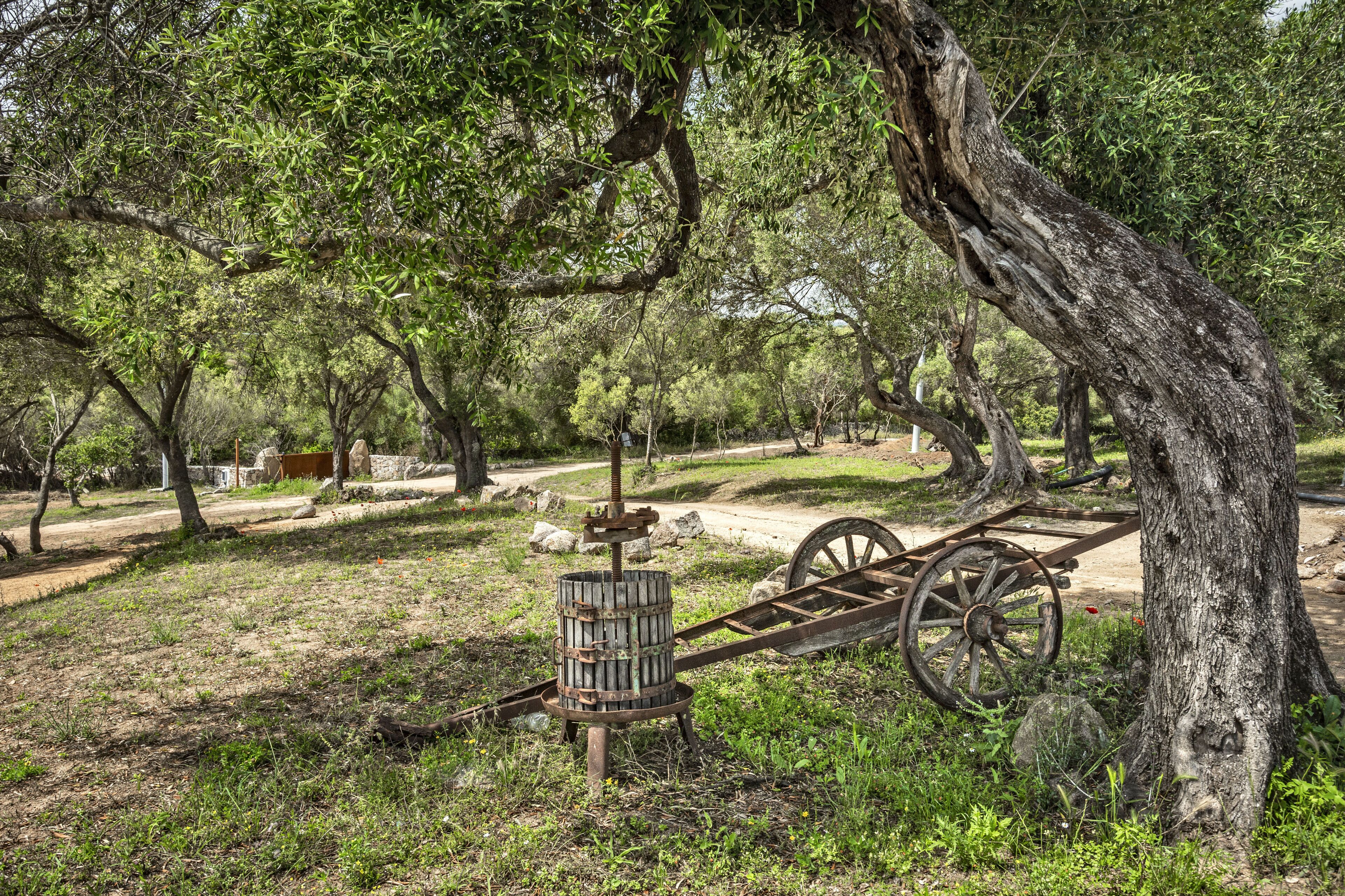 An outdoor setting with a wooden cart and a water pump.