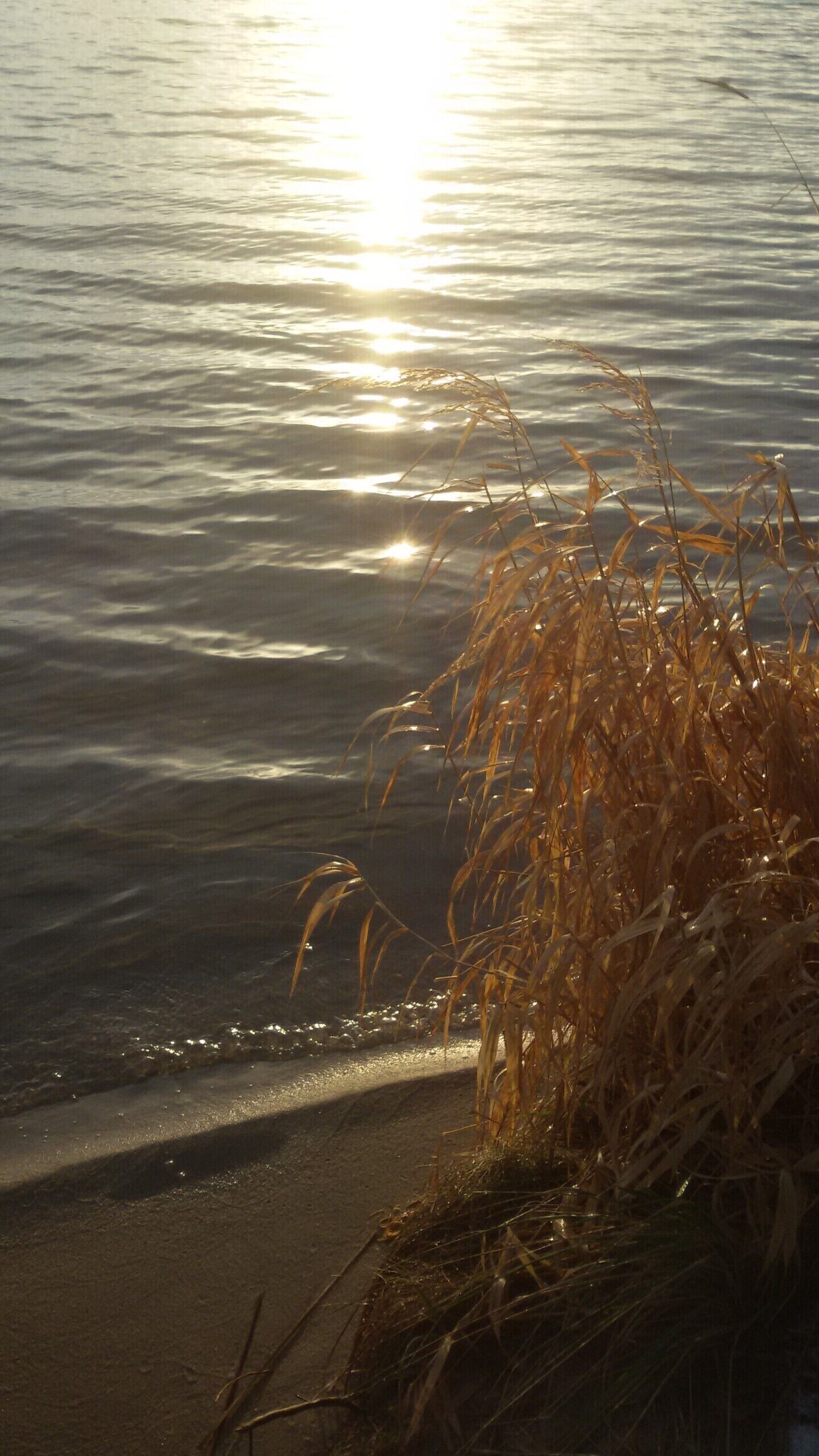 A calm body of water with sunlight reflecting on the surface.