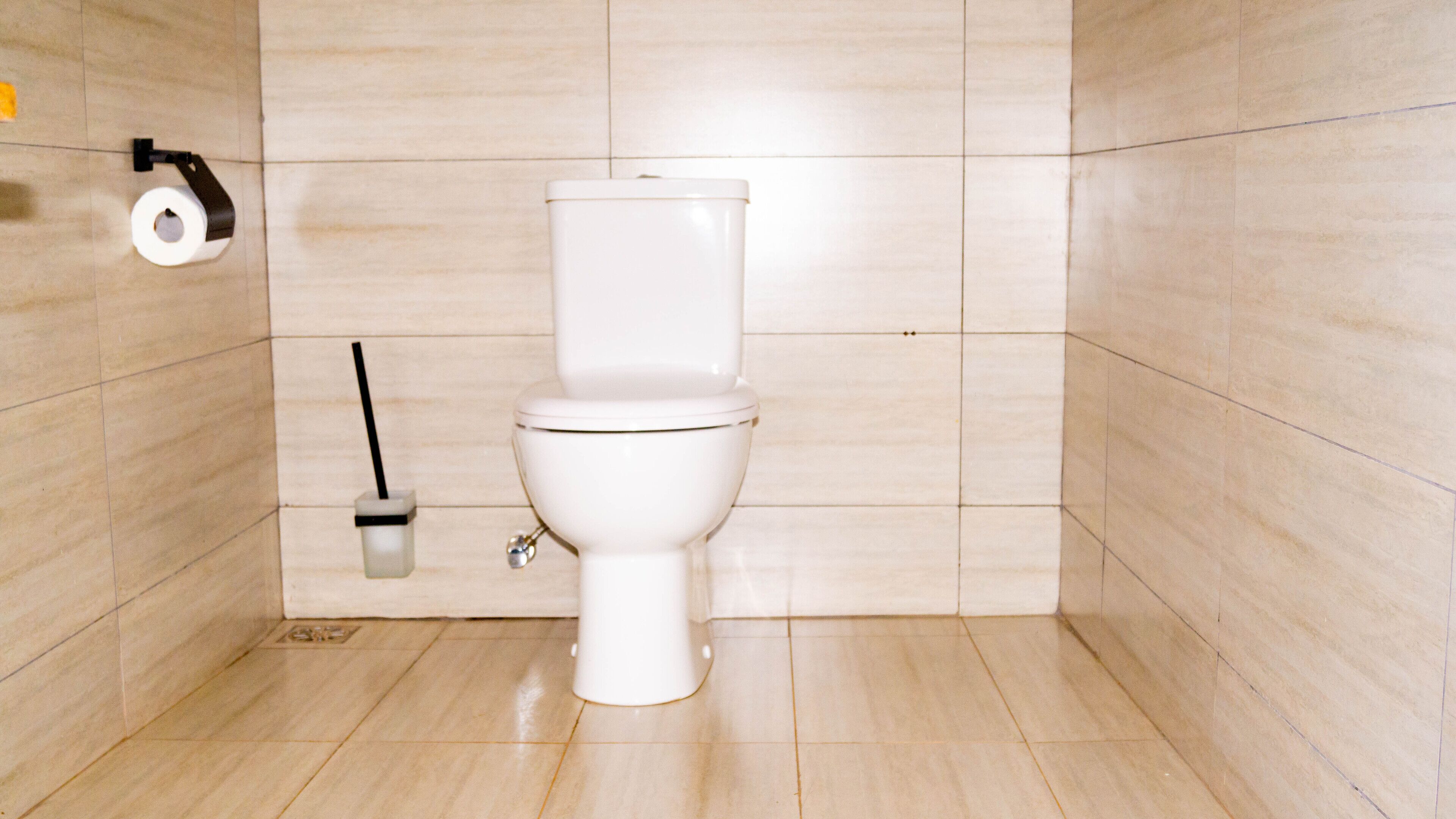 A modern bathroom with a white toilet, a toilet paper holder, and a bidet spray.