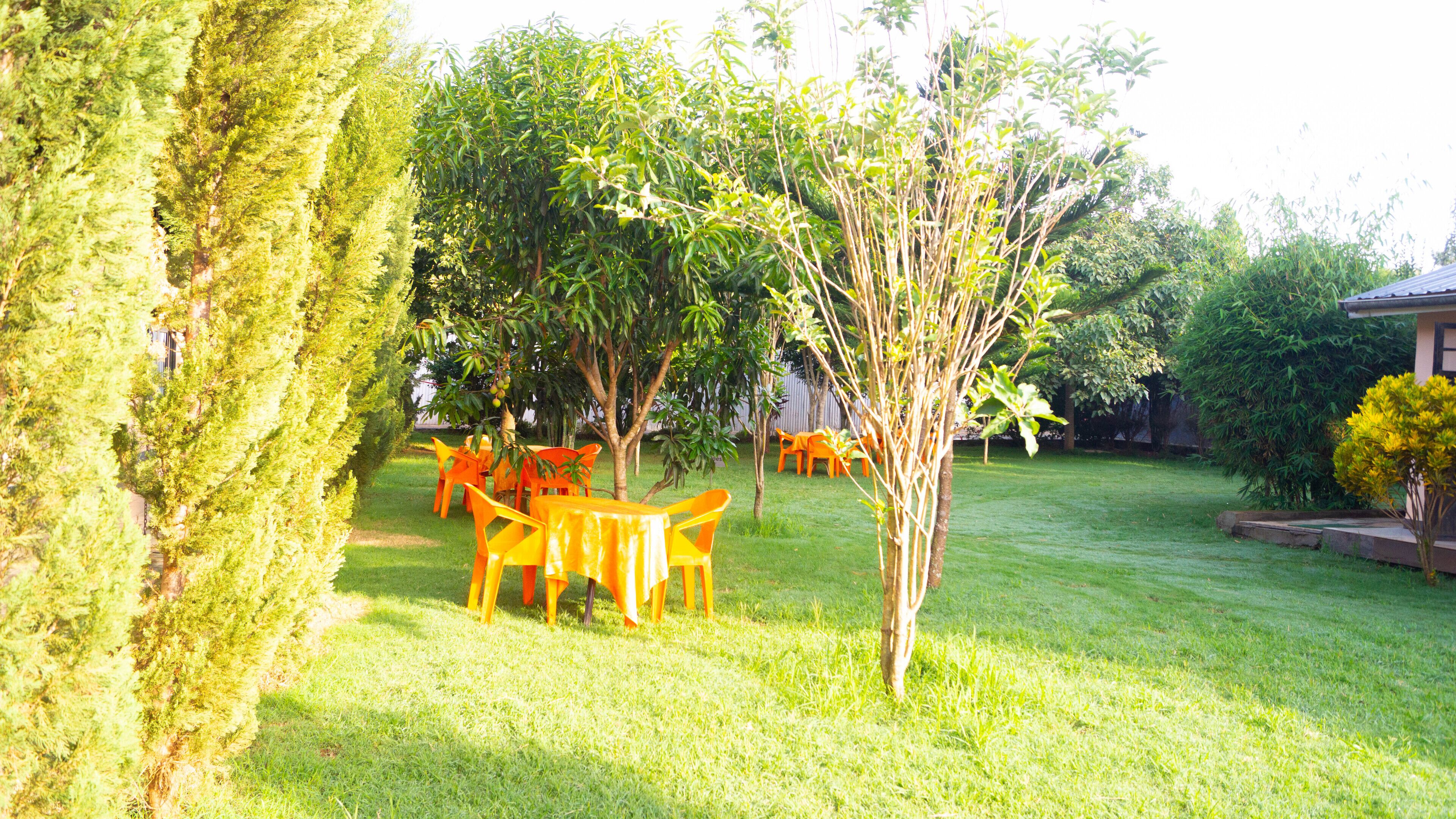 A grassy outdoor area with a small tree, a few orange chairs, and a building in the background.
