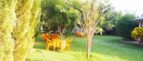 A grassy outdoor area with a small tree, a few orange chairs, and a building in the background.