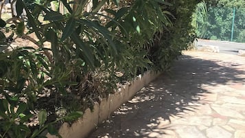 Terrein van de accommodatie