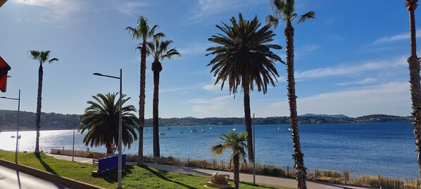 A coastal view with palm trees, a clear sky, and boats on the water. - Seafront - Modern, comfortable, air-conditioned T2 apartment - Everything within walking distance (Bandol)