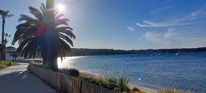 Una playa cerca