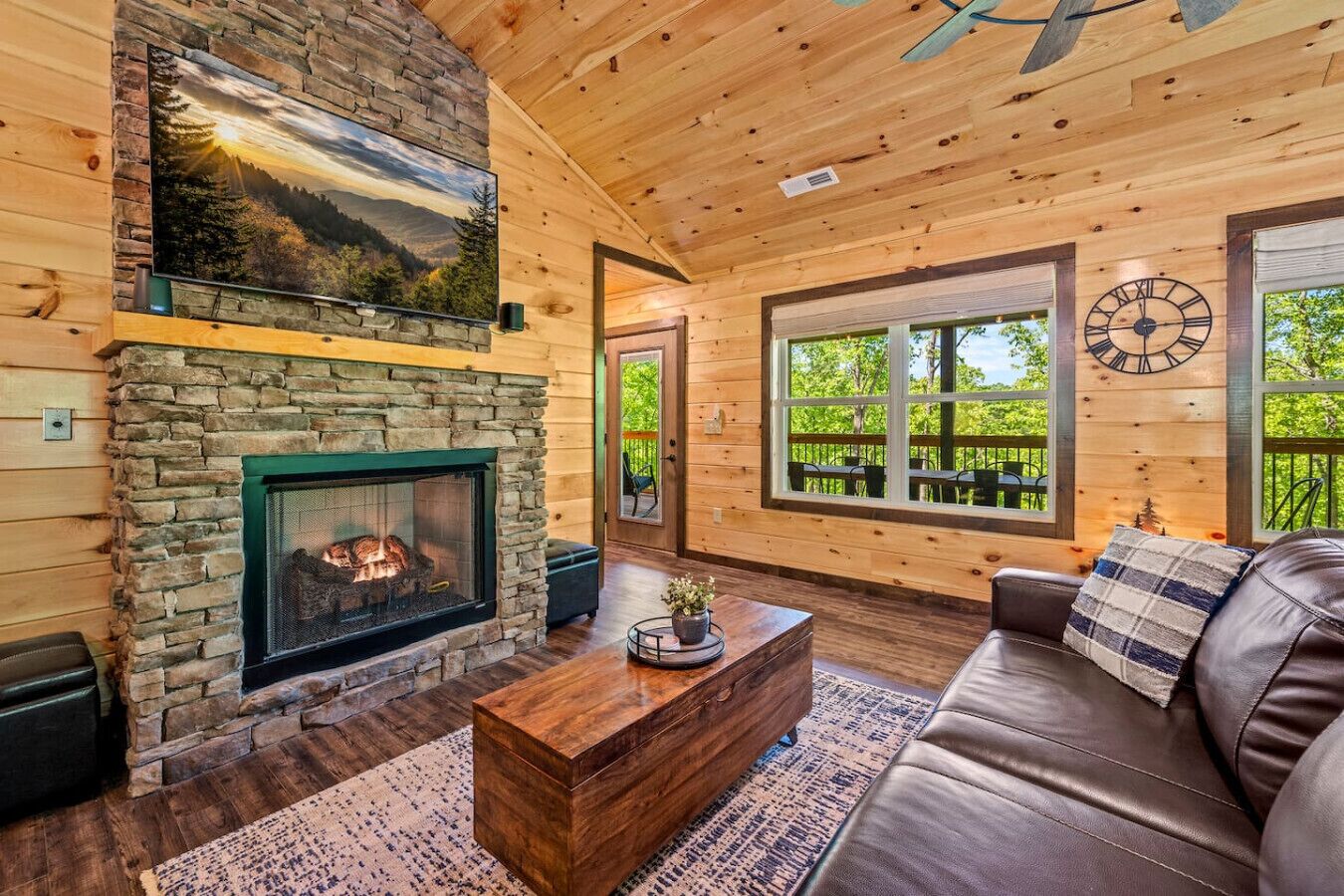 TV, fireplace, books