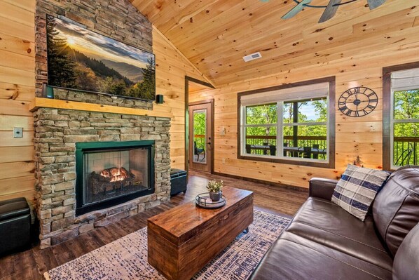 TV, fireplace, books