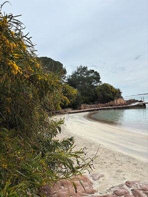 Strand