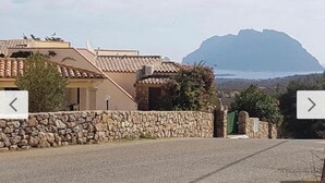 A stone wall with a gate, a building with a tiled roof, and a mountain in the background.