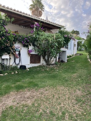 Área da propriedade