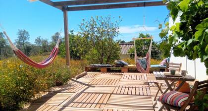 Hilltop farmhouse - nature retreat steps away from scenic trails and the river