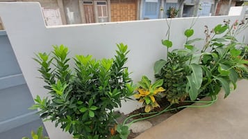 经典公寓 | 露台
