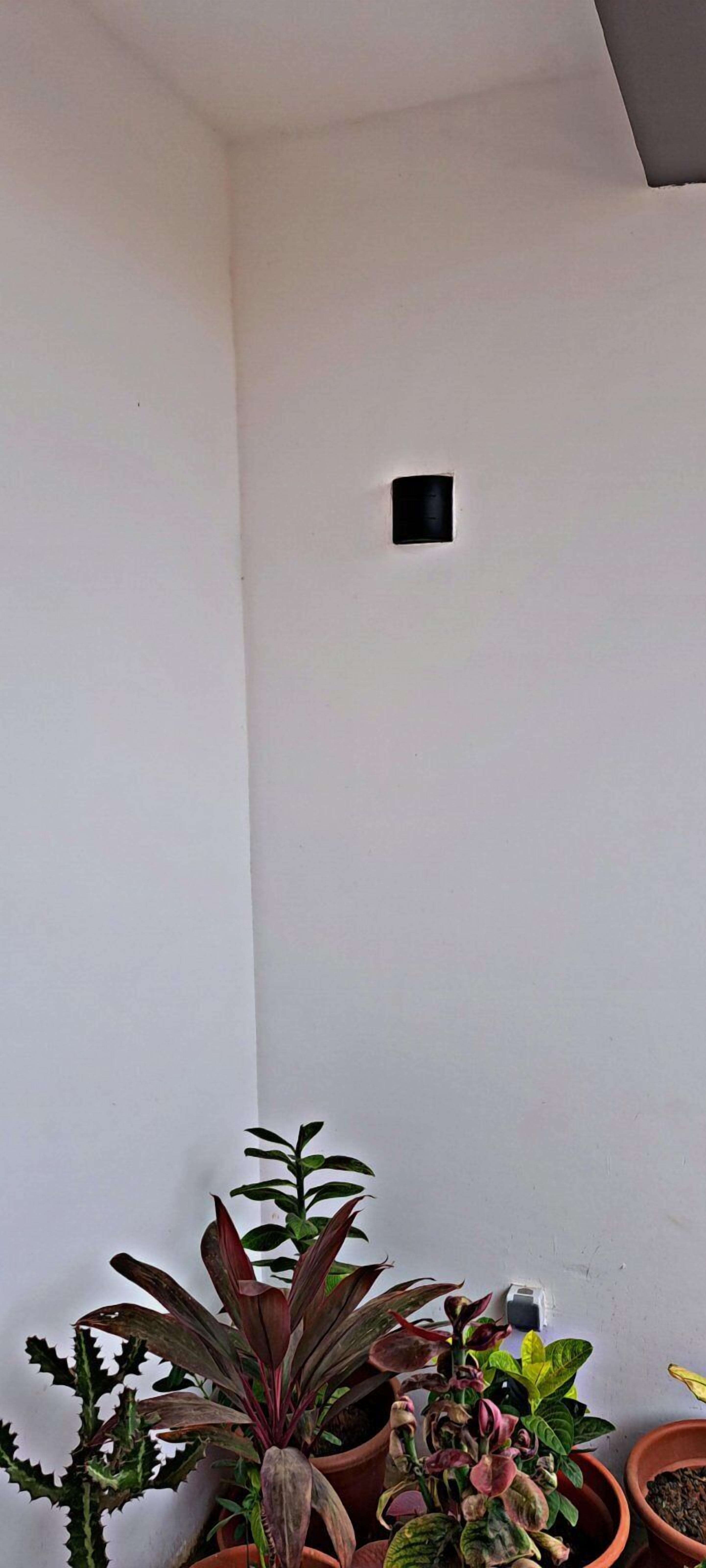 A corner of a room with white walls, a small black square object on the wall, and several potted plants.