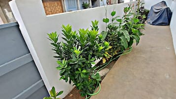 Classic-Apartment | Terrasse/Patio