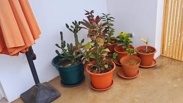 Apartamento clássico | Terraço/pátio