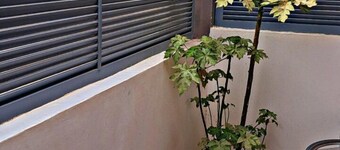 Apartamentos Santiago - Tarrafal