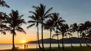 A beach with palm trees and a sunset.