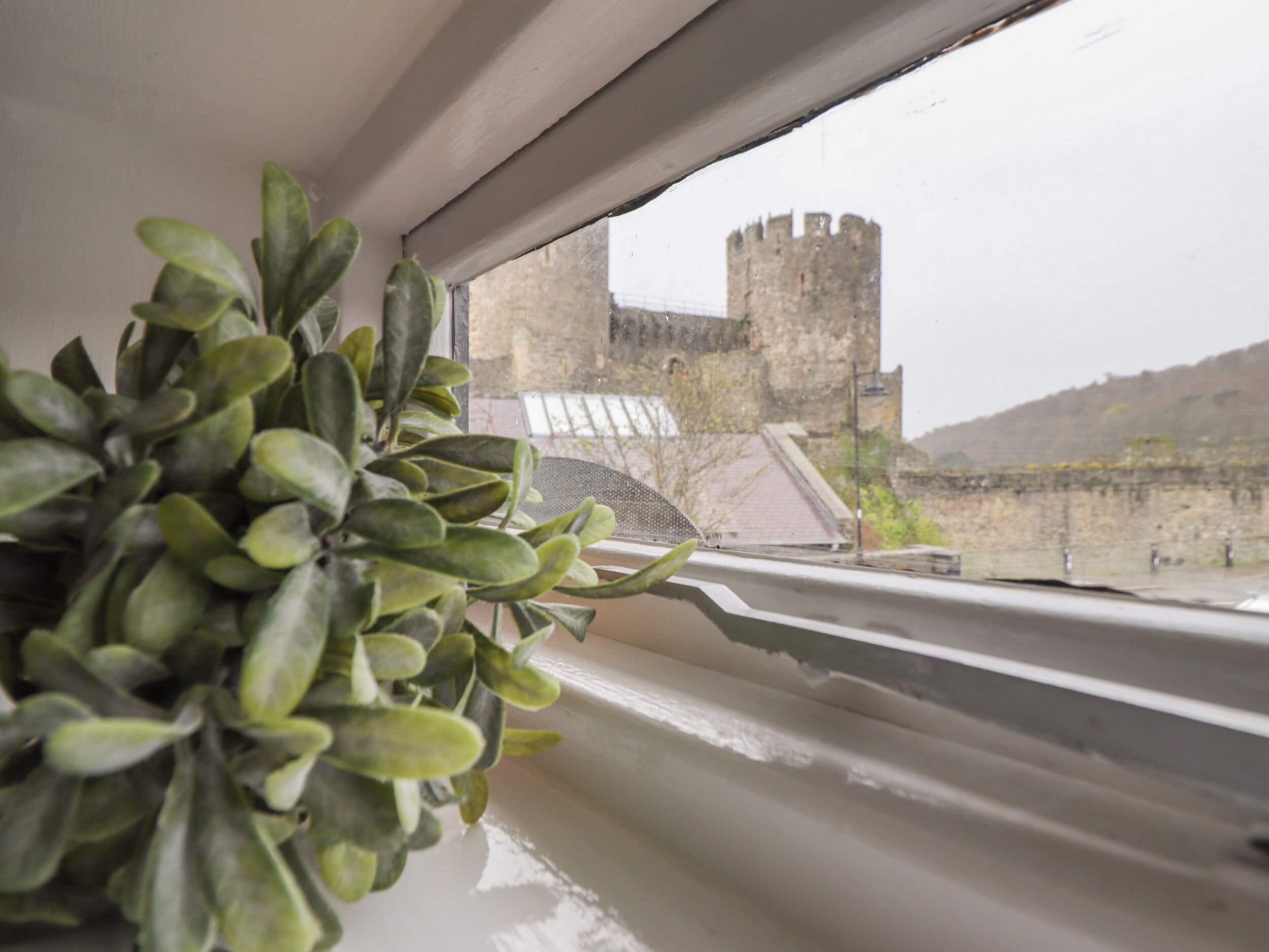 A window with a view of a castle and a plant on the sill.