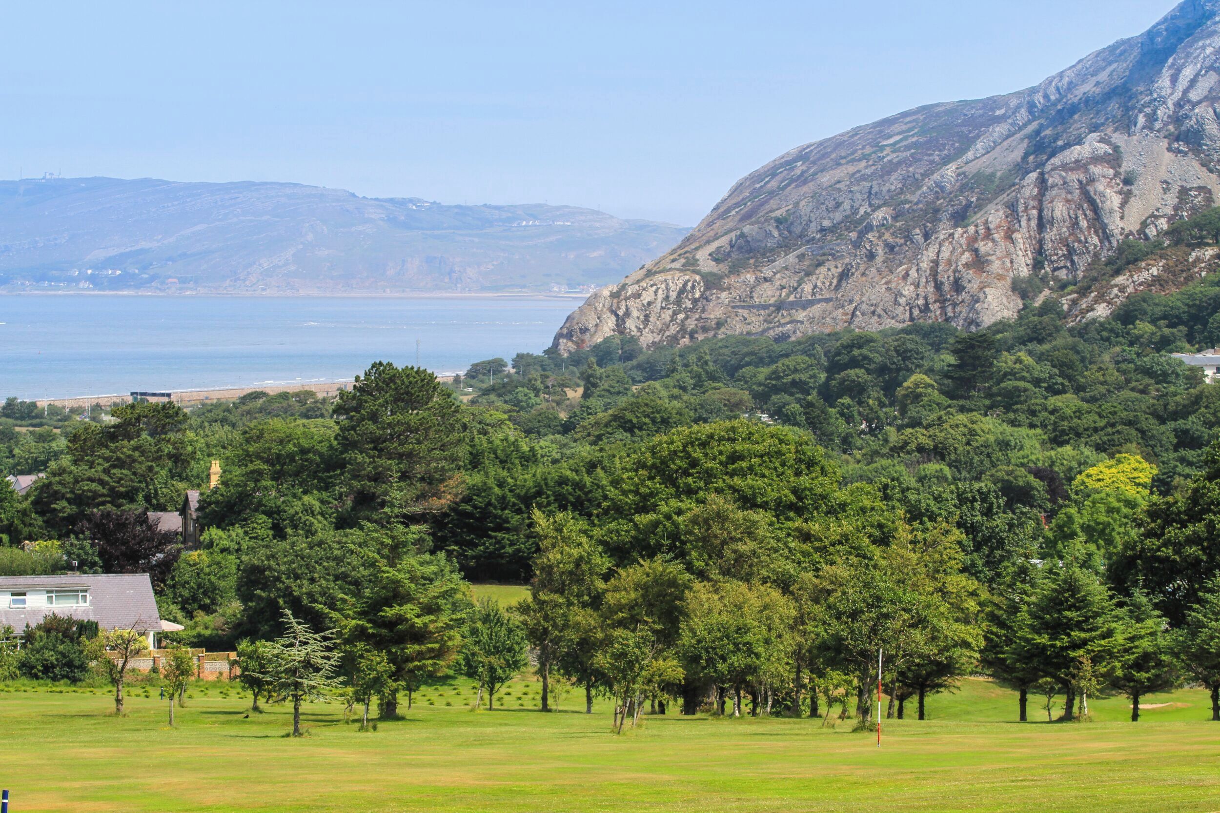 Un paysage côtier avec un champ herbeux, des arbres et une montagne en arrière-plan.