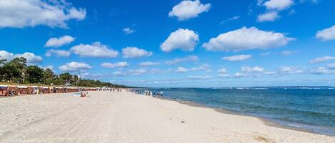 Playa en los alrededores