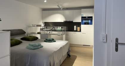Studio Gocki: by the forest and close to Zurich