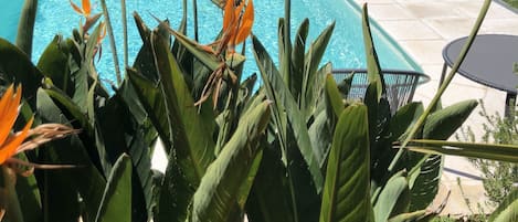Alberca al aire libre