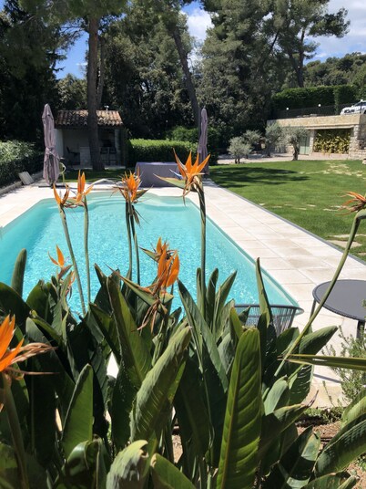 Luxury Villa, surrounded with lush garden , and all amenities