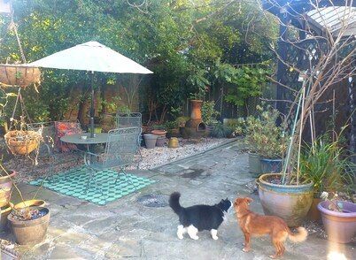 House - Sleeps 2, pet Friendly & Free Parking