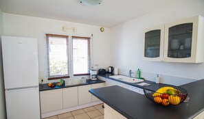 Fridge, microwave, stovetop, dishwasher