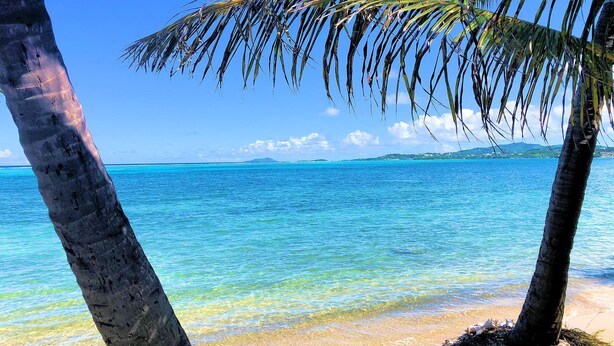 Una playa con agua turquesa cristalina, palmeras y una cadena montañosa distante.