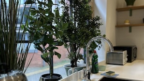 Une cuisine moderne avec un plan de travail blanc, un évier en acier inoxydable et diverses plantes en pot.