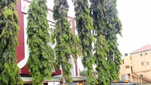 A building with a red and white facade, surrounded by tall green trees. There are two green vehicles parked in front. - Richy Hotels and Safaris (Mbale)