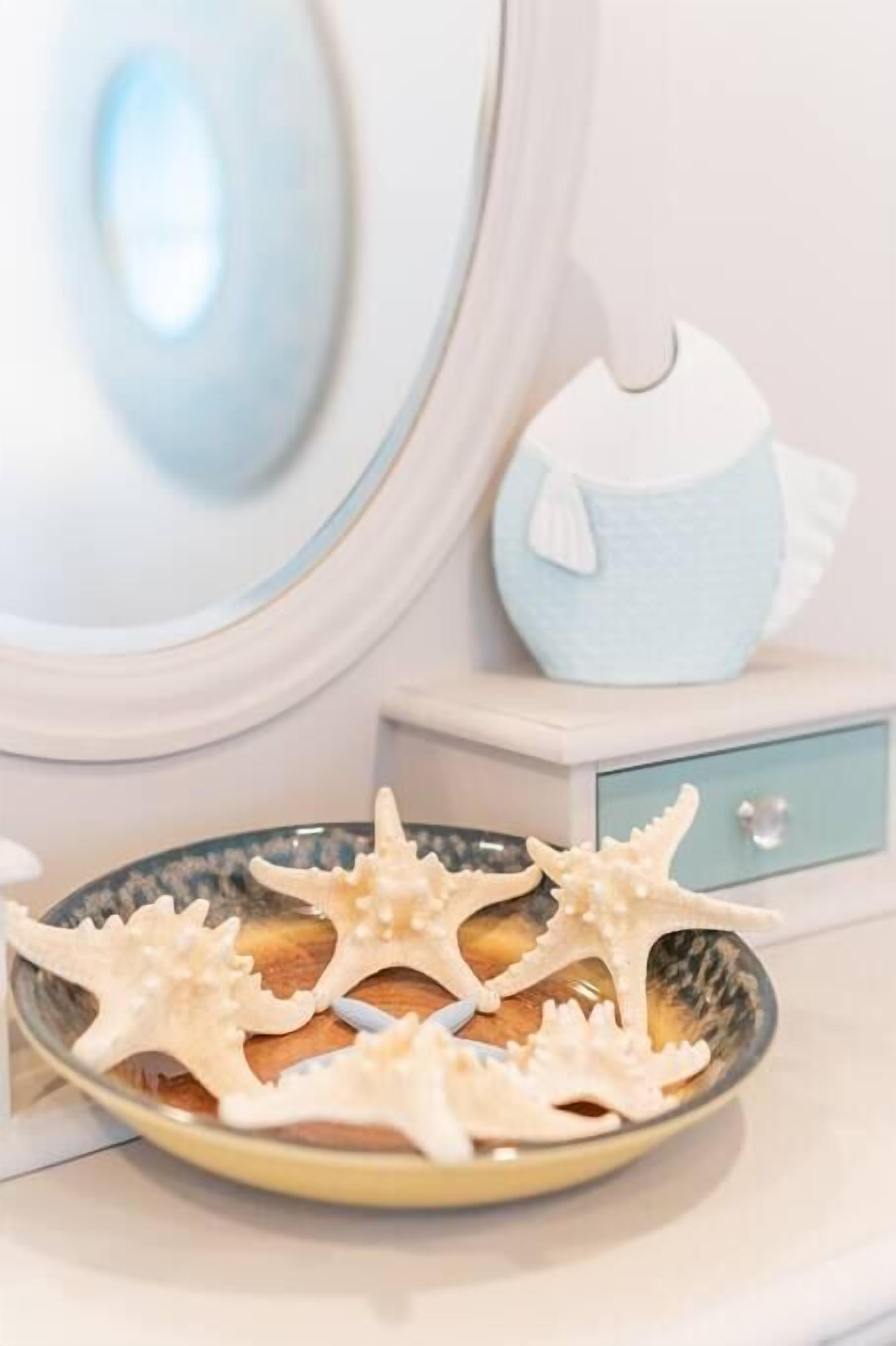 A bathroom with a white sink, a mirror, and a decorative shell on the counter.