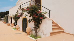 Um edifício com escadas, uma porta e plantas em vasos.