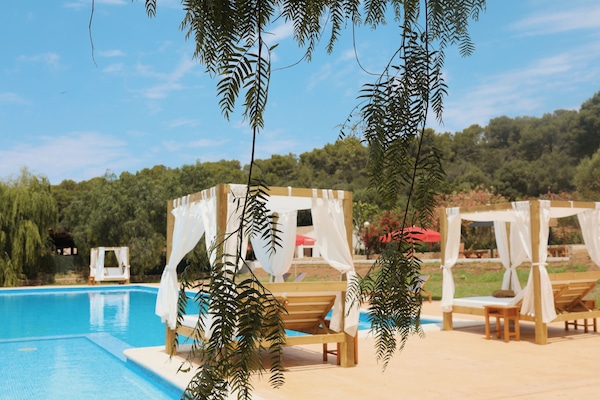 Outdoor pool, sun loungers