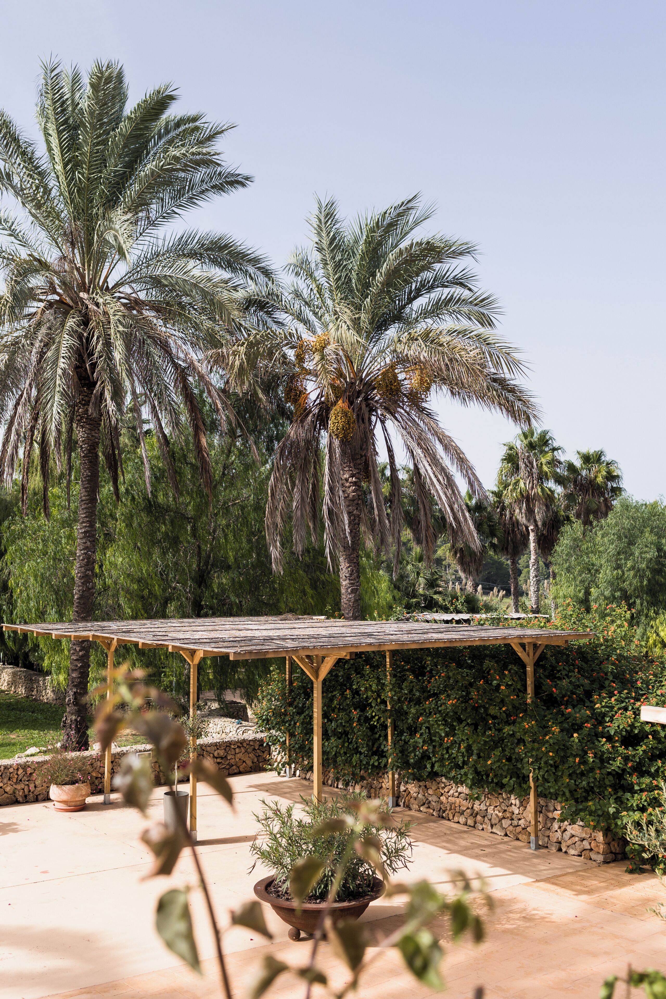 Foto - Llucatx Menorca