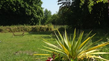 BBQ/picnic Area