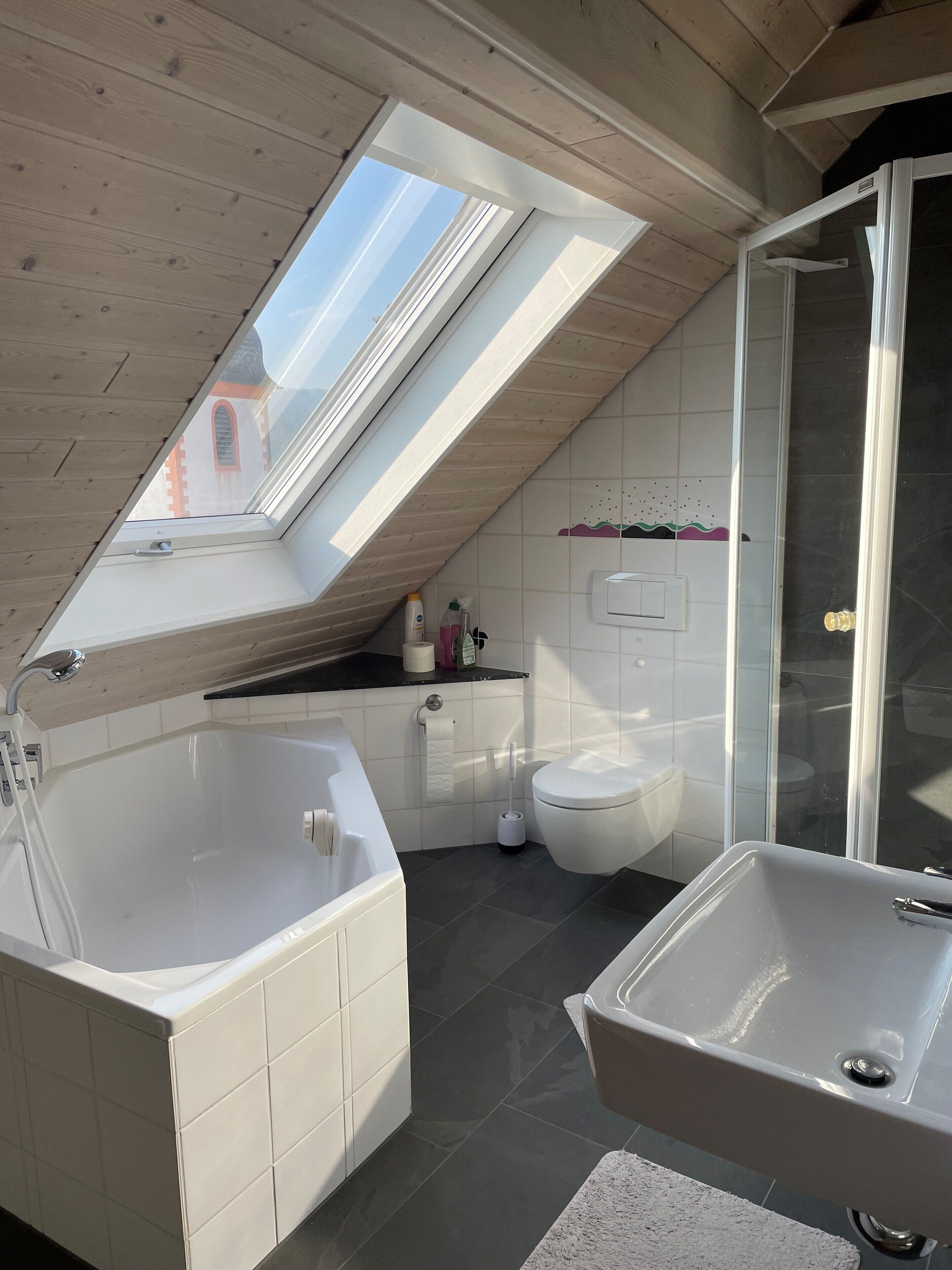 Dusche, Haartrockner, Handtücher, Seife